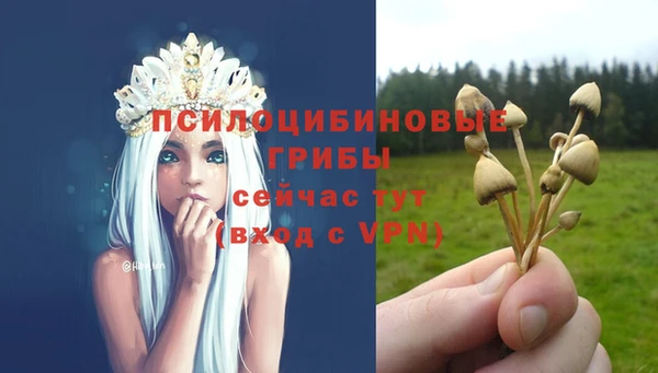 дживик Саяногорск