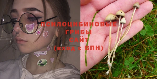 гидра Сафоново