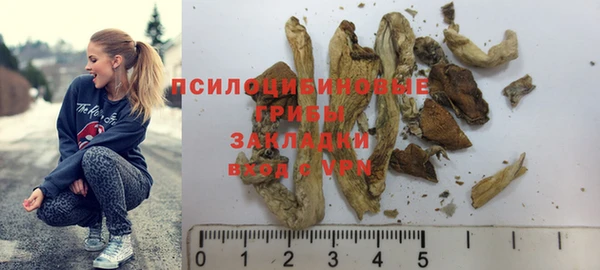 гидра Сафоново