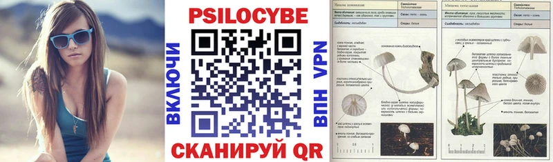 Галлюциногенные грибы MAGIC MUSHROOMS Купить где Венёв
